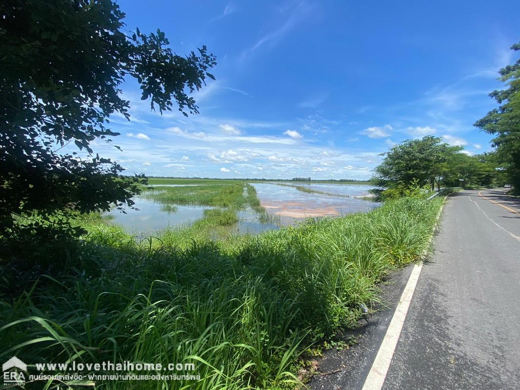 ขายที่ดิน รังสิต-นครนายก ใกล้วัดธรรมปัญญา ทางเข้าร้านอาหารครัวคุณรัช ปาป๊าฟาร์ม นครนายก พื้นที่ 47-3-54 ไร่ ขายถูกเพียง 500,000บาท/ไร่ ต้องการขายด่วน ราคาต่อรองได้