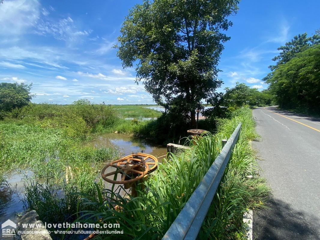 ขายที่ดิน รังสิต-นครนายก ใกล้วัดธรรมปัญญา ทางเข้าร้านอาหารครัวคุณรัช ปาป๊าฟาร์ม นครนายก พื้นที่ 47-3-54 ไร่ ขายถูกเพียง 500,000บาท/ไร่ ต้องการขายด่วน ราคาต่อรองได้