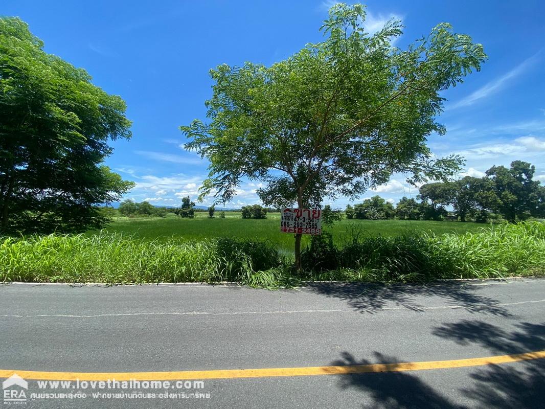 ขายที่ดิน รังสิต-นครนายก ใกล้วัดธรรมปัญญา ทางเข้าร้านอาหารครัวคุณรัช ปาป๊าฟาร์ม นครนายก พื้นที่ 47-3-54 ไร่ ขายถูกเพียง 500,000บาท/ไร่ ต้องการขายด่วน ราคาต่อรองได้