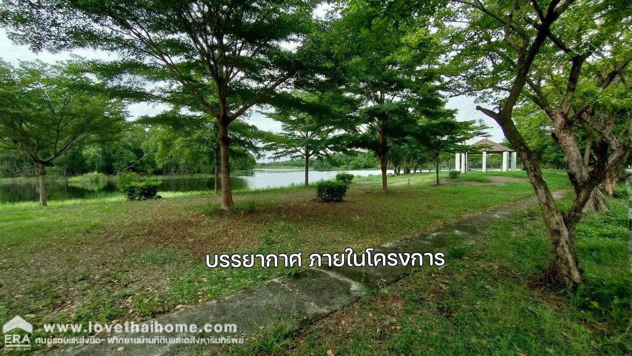 ขายที่ดิน โครงการคันทรีการ์เด้น คลองสาม ถ.เลียบคลองสาม-ปทุมธานี พื้นที่ 2ไร่ 10ตรว. ใกล้วัดกลางคลองสาม เหมาะสร้างบ้านพักอาศัย