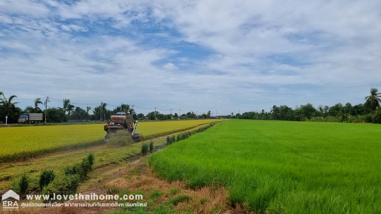 ขายด่วนที่ดินแถมบ้าน ต.ขุนศรี อ.ไทรน้อย จ.นนทบุรี พื้นที่กว้างมาก 100 ตรว. วิวทุ่งนา ใกล้สถานีพัฒนาที่ดิน นนทบุรี