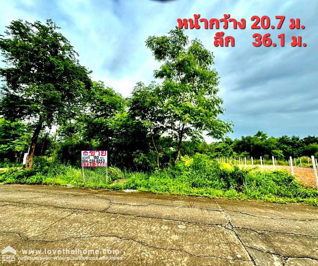 ขายที่ดิน ซอยลำลูกกา 196 ถนนประชาสำราญ หนองจอก แปลงมุม 150 ตรว. ทำเลดี ฟรีค่าโอน เหมาะสำหรับทำบริษัท,โกดัง หรือบ้านพักอาศัย 