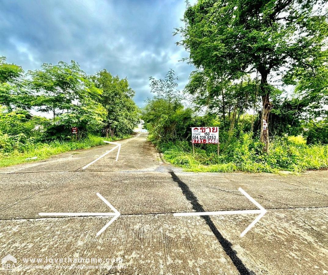 ขายที่ดิน ซอยลำลูกกา 196 ถนนประชาสำราญ หนองจอก แปลงมุม 150 ตรว. ทำเลดี ฟรีค่าโอน เหมาะสำหรับทำบริษัท,โกดัง หรือบ้านพักอาศัย 