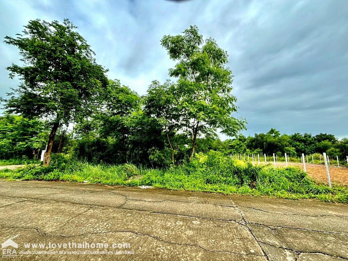 ขายที่ดิน ซอยลำลูกกา 196 ถนนประชาสำราญ หนองจอก แปลงมุม 150 ตรว. ทำเลดี ฟรีค่าโอน เหมาะสำหรับทำบริษัท,โกดัง หรือบ้านพักอาศัย 