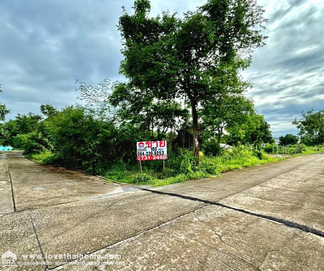 ขายที่ดิน ซอยลำลูกกา 196 ถนนประชาสำราญ หนองจอก แปลงมุม 150 ตรว. ทำเลดี เหมาะสำหรับทำบริษัท,โกดัง หรือบ้านพักอาศัย 