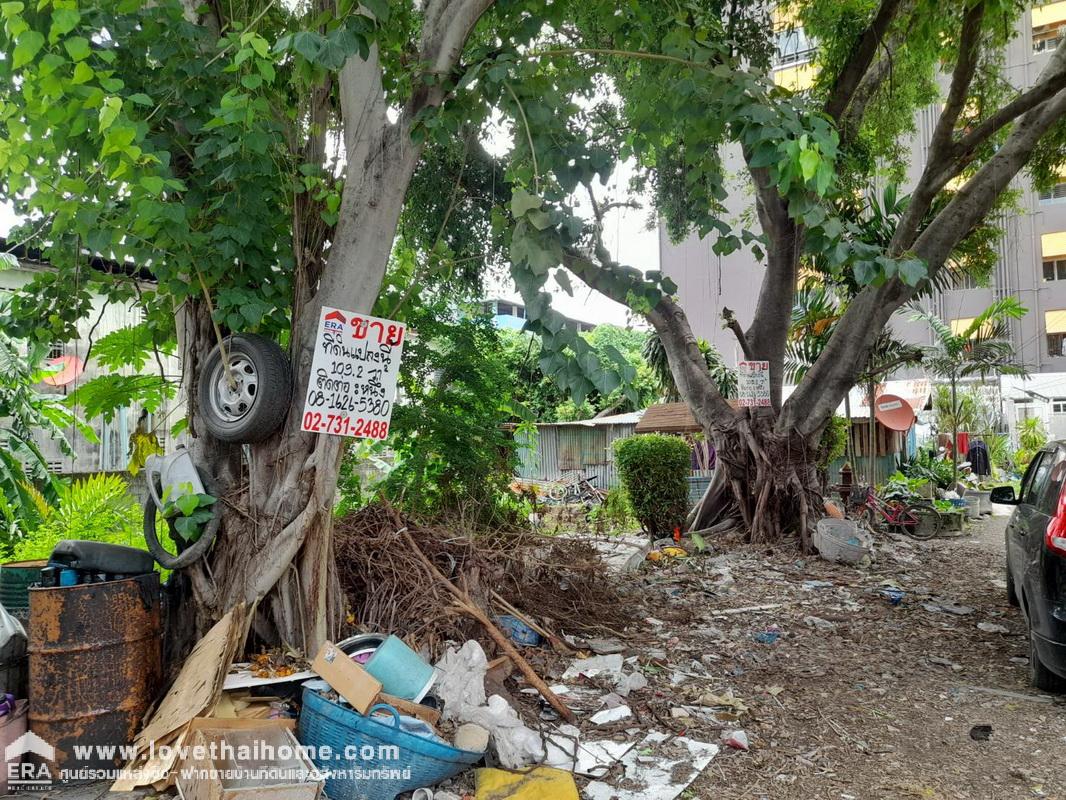 ขายที่ดิน ถ.พหลโยธิน คลองหลวง ปทุมธานี ตรงข้าม ม.ธรรมศาสตร์ รังสิต พื้นที่ 109.2 ตรว. ที่ดินรูปสี่เหลี่ยมหน้ากว้าง เหมาะกับการปลูกบ้านอยู่อาศัย เงียบสงบ ขายราคาถูกกว่าราคาประเมิน