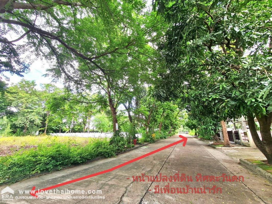 ขายที่ดิน ติดถนนรัตนาธิเบศร์ พื้นที่ 98 ตรว. ถมแล้ว ใกล้รถไฟฟ้าสายสีม่วง สถานีบางรักใหญ่ เพียง 100 เมตร ทำเลดี ที่ดินติดถนน 2 ด้าน เหมาะลงทุน สร้างบ้าน ฯลฯ