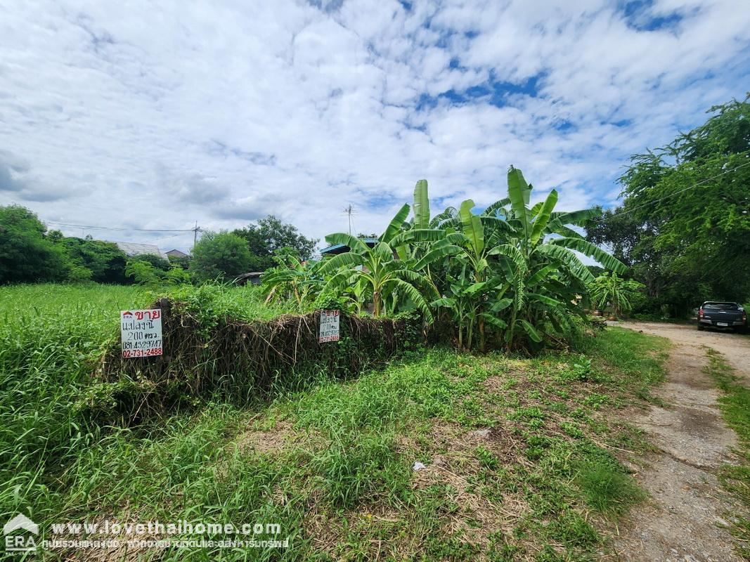 ขายที่ดิน ย่านปากเกร็ด ถนนสุขาประชาสรรค์3 พื้นที่ 200 ตรว. ขายเพียง ตรว.ละ 19,950 บาท ใกล้โรงเรียนพิชญศึกษา ราคาไม่แพง ขายด่วน