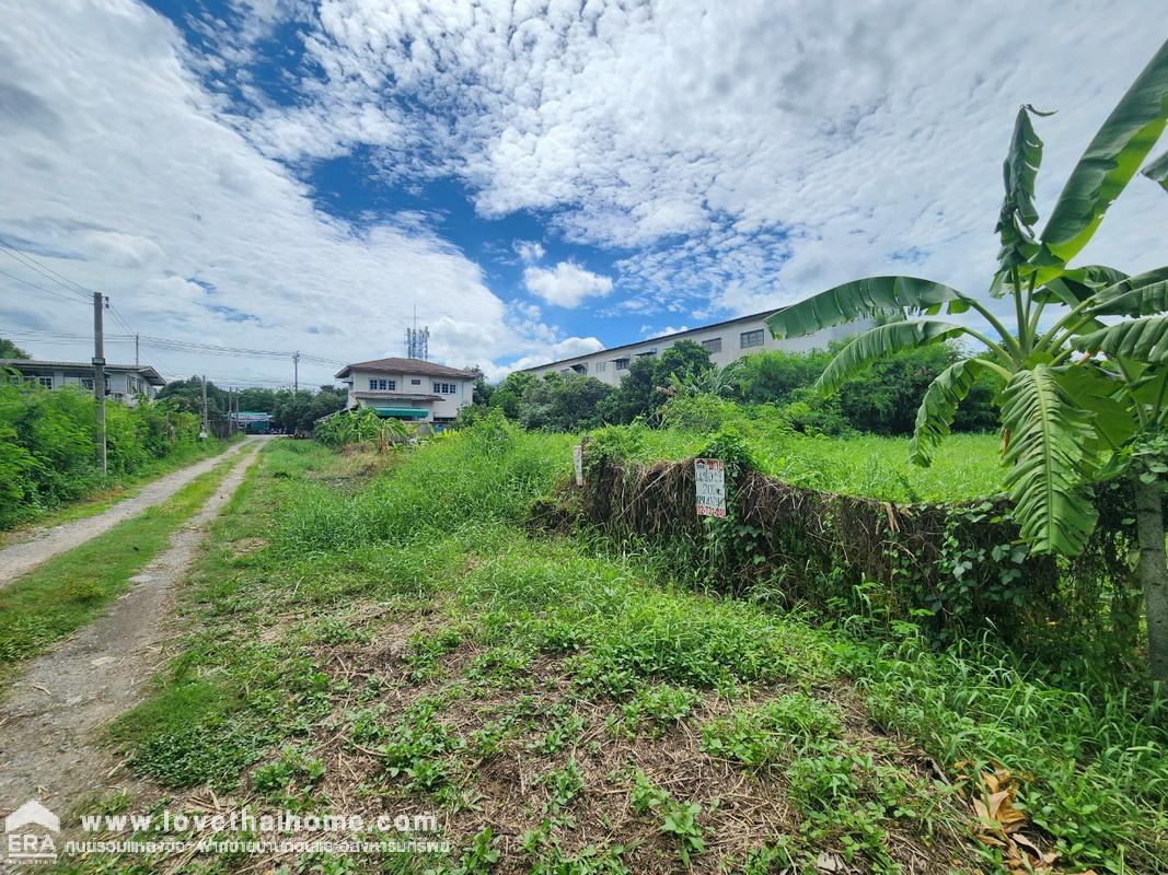 ขายที่ดิน ย่านปากเกร็ด ถนนสุขาประชาสรรค์3 พื้นที่ 200 ตรว. ขายเพียง ตรว.ละ 21,250 บาท ใกล้โรงเรียนพิชญศึกษา ราคาไม่แพง ขายด่วน