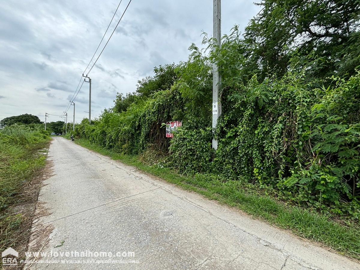 ขายที่ดิน ถนนศรีนครินทร์ 43 หน้าปากซอยเป็นรถไฟฟ้าสายสีเหลือง-สถานีศรีนครินทร์ 38 พื้นที่ 99 ตรว. ทำเลดี ห่างจากถนนศรีนครินทร์ เพียง 250 เมตร