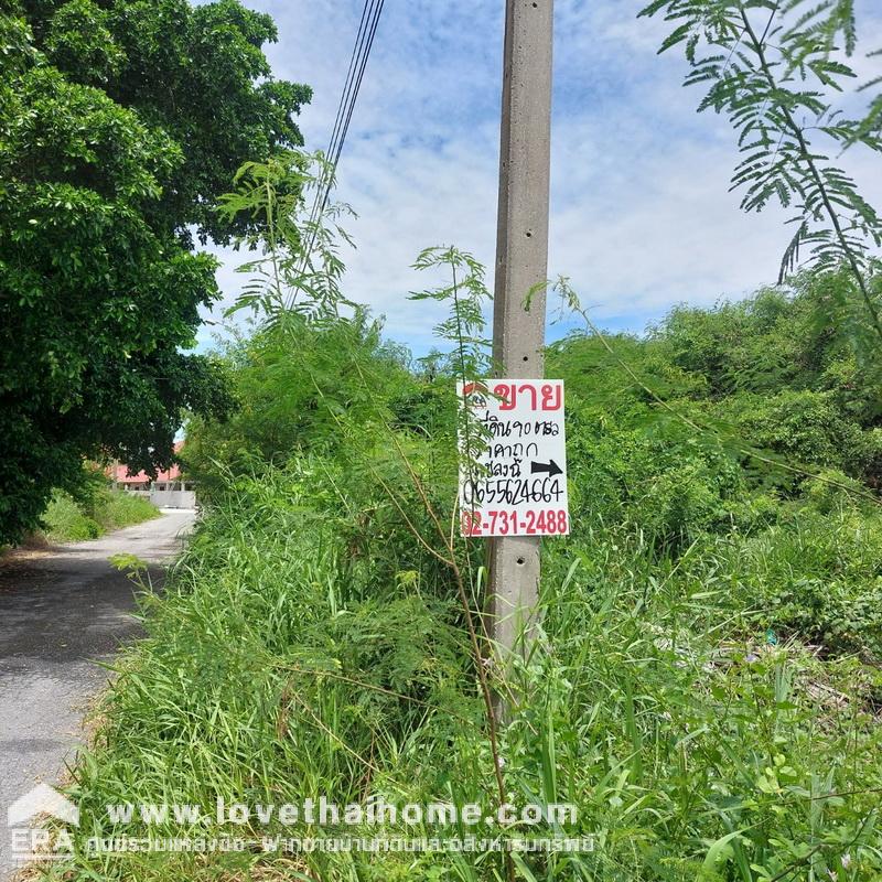 ขายที่ดิน เมืองเอก บางปู ซอยเทศบาลบางปู85 สมุทรปราการ พื้นที่ 90 ตรว. แปลงมุม ใกล้นิคมอุตสาหกรรมบางปู