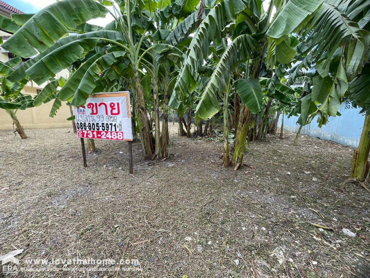 ขายที่ดินย่านลาดพร้าว-บางกะปิ ถนนลาดพร้าว 110 แปลงสวย 99 ตรว. ทำเลดี ห่างจากถนนใหญ่เพียง 120 เมตร