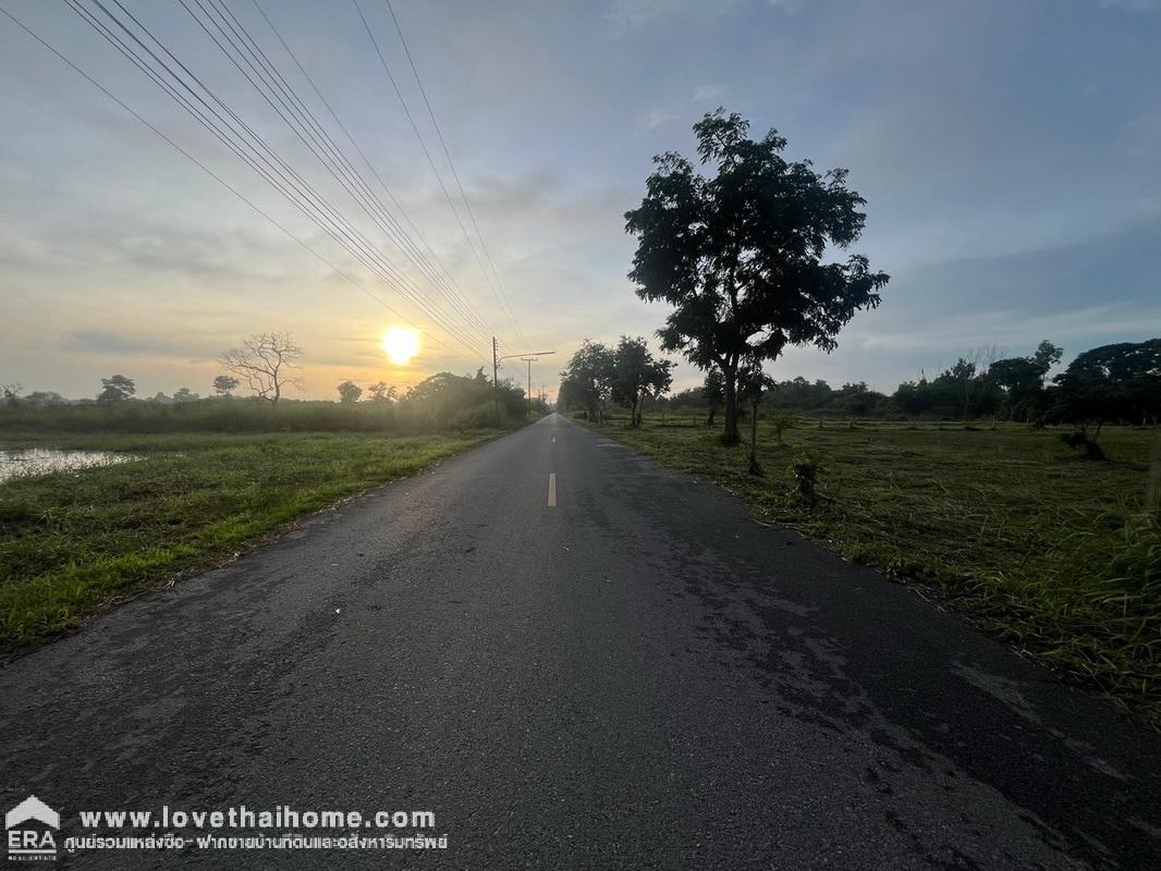 ขายที่ดิน ลำลูกกา คลอง11 ซอยวัดป่าเจริญราช พื้นที่ 2 ไร่ ที่สวย ทำเลดี ขายเพียงราคา 5,500 บาท/ตรว. ตรงข้ามสนามกอล์ฟลำลูกกาคันทรี่คลับ ใกล้ Reignwood Park