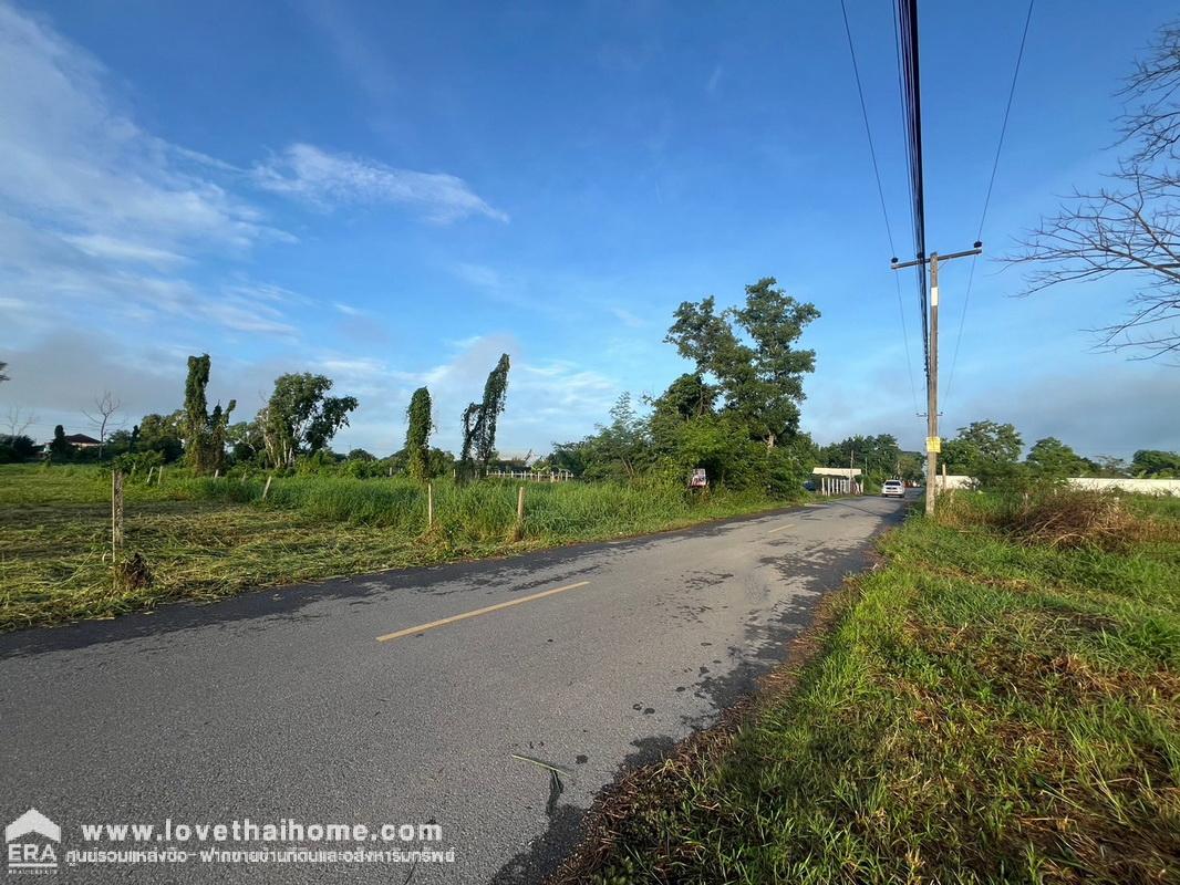 ขายที่ดิน ลำลูกกา คลอง11 ซอยวัดป่าเจริญราช พื้นที่ 2 ไร่ ที่สวย ทำเลดี ขายเพียงราคา 5,500 บาท/ตรว. ตรงข้ามสนามกอล์ฟลำลูกกาคันทรี่คลับ ใกล้ Reignwood Park