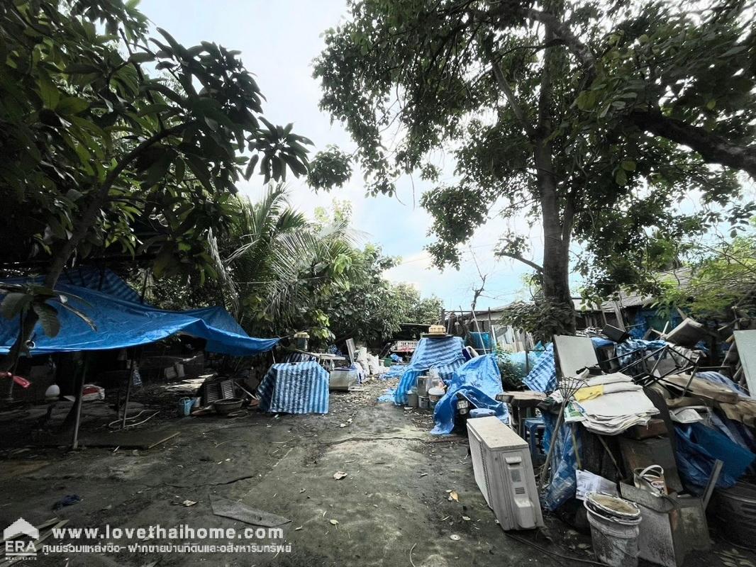 ขายที่ดินแถมบ้าน เลียบวารี75 หนองจอก พื้นที่ 400 ตรว. ใกล้โรงเรียนหนองจอกพิทยานุสสรณ์มัธยม