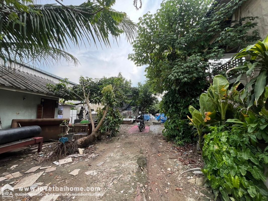 ขายที่ดินแถมบ้าน เลียบวารี75 หนองจอก พื้นที่ 400 ตรว. ใกล้โรงเรียนหนองจอกพิทยานุสสรณ์มัธยม