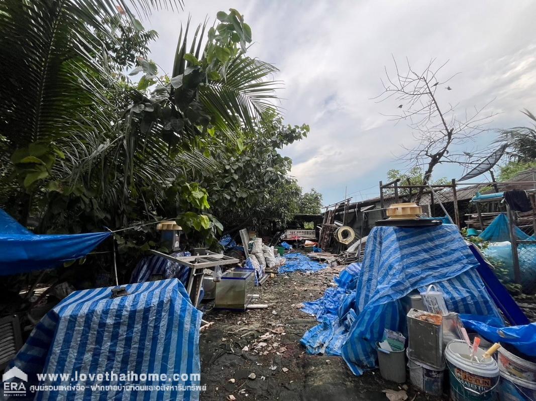 ขายที่ดินแถมบ้าน เลียบวารี75 หนองจอก พื้นที่ 400 ตรว. ใกล้โรงเรียนหนองจอกพิทยานุสสรณ์มัธยม