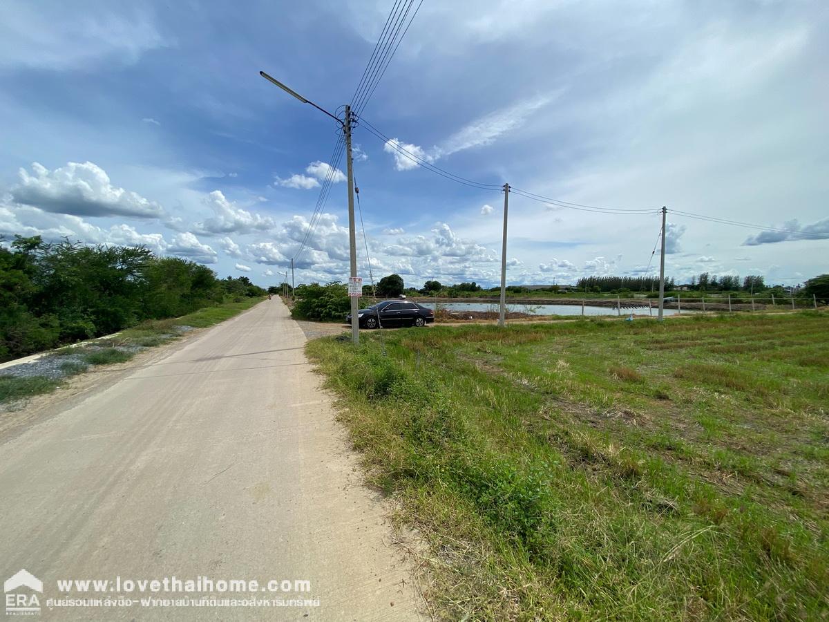 ขายที่ดินเปล่าถมแล้ว อ.นครชัยศรี ต.ท่าพระยา พื้นที่ 360 ตรว. ใกล้สยามชัยหาดทรายขาว (ทะเลนครปฐม)