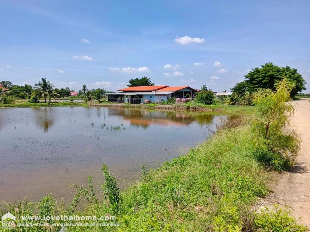 ขายที่ดิน ต.หัวไทร อ.บางคล้า จ.ฉะเชิงเทรา พื้นที่ 5 ไร่ ทำเลดีด่วน! ถนนเป็นคอนกรีต สาธารณูปโภคพร้อมสรรพ