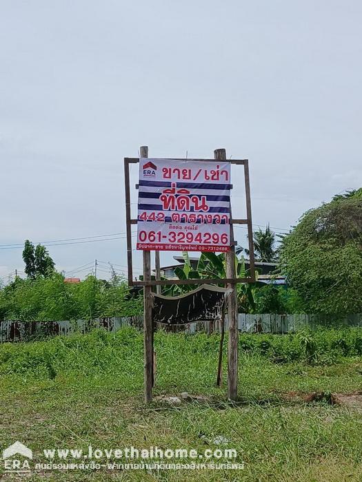 ขายด่วนที่ดินดอนเมือง ซอยเผ่าบุญธรรม ทำเลทอง แปลงสวย ใกล้ตลาดสี่มุมเมืองเพียง 200 เมตร ถมแล้ว 442 ตรว. ใกล้สนามบินดอนเมือง และ สถานีรถไฟฟ้าหลักหก