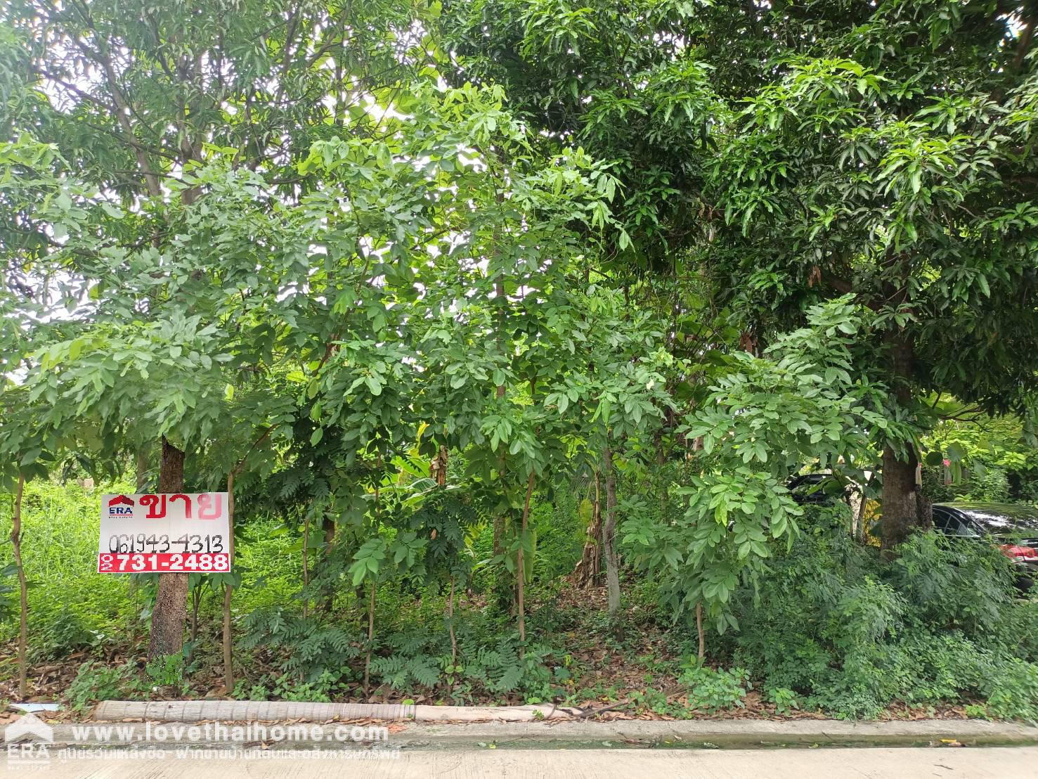 ขายที่ดินบ้านใหม่ บางใหญ่ นนทบุรี ถ.ฉลองราชย์ ร.9 หมู่บ้านปีกไม้ 5 แปลงหัวมุม ถมแล้ว 103 ตรว. ใกล้ถนนเลียบคลองประปา เหมาะสำหรับปลูกที่พักอาศัย