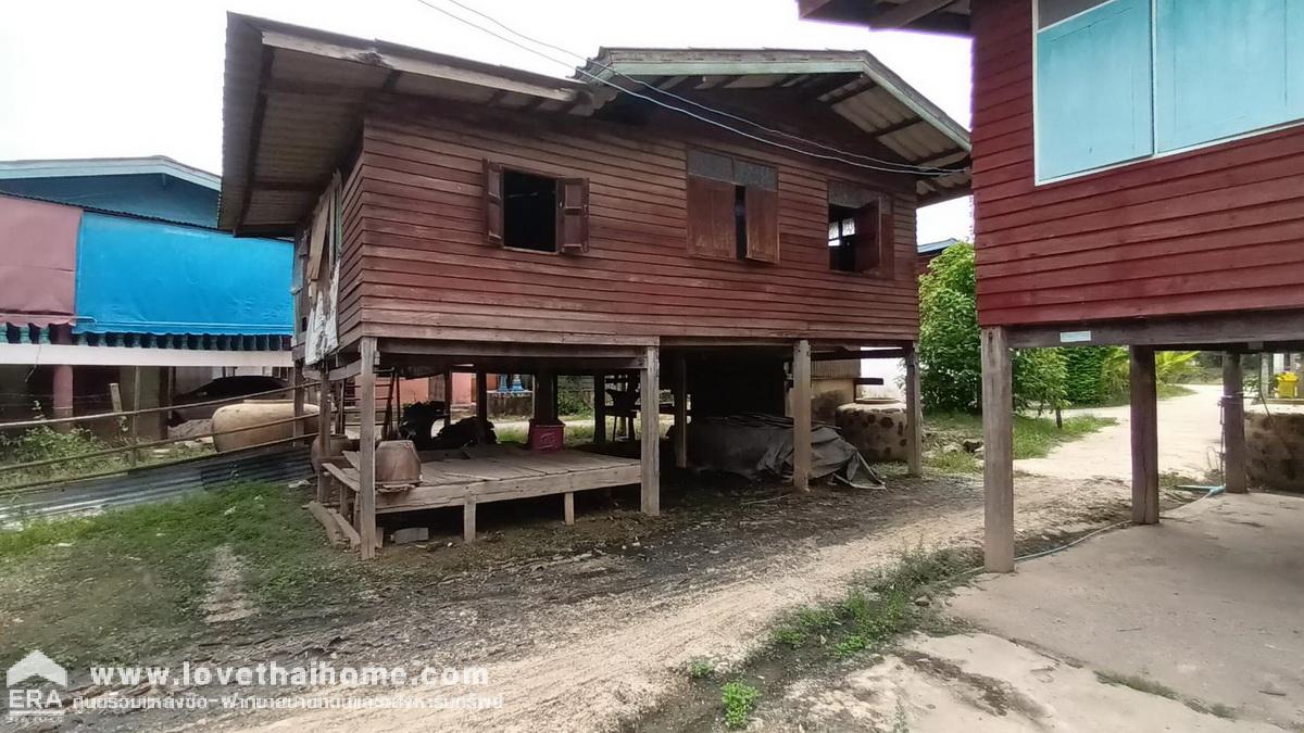 ขายที่ดิน ซอยวัดสุนทราราม (ห่อหมก) ถนนบ้านใน พื้นที่ 172 ตรว. ขายถูก เหมาะสร้างบ้านพักอาศัย หรือทำธุรกิจ