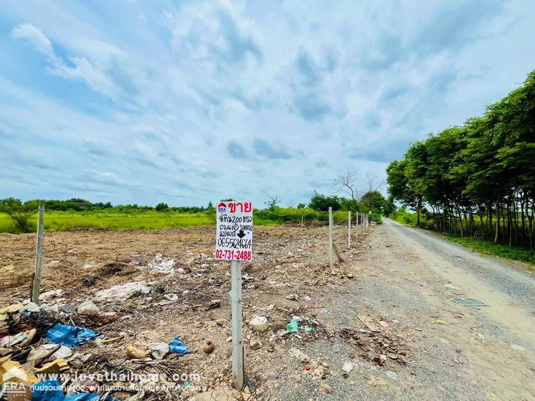 ขายที่ดิน คลองหกตะวันออก คลองหลวง ปทุมธานี พื้นที่ 200 ตรว. ใกล้ศูนย์กระจายสินค้า บิ๊กซี คลอง6 และ ม.เทคโนโลยีราชมงคล