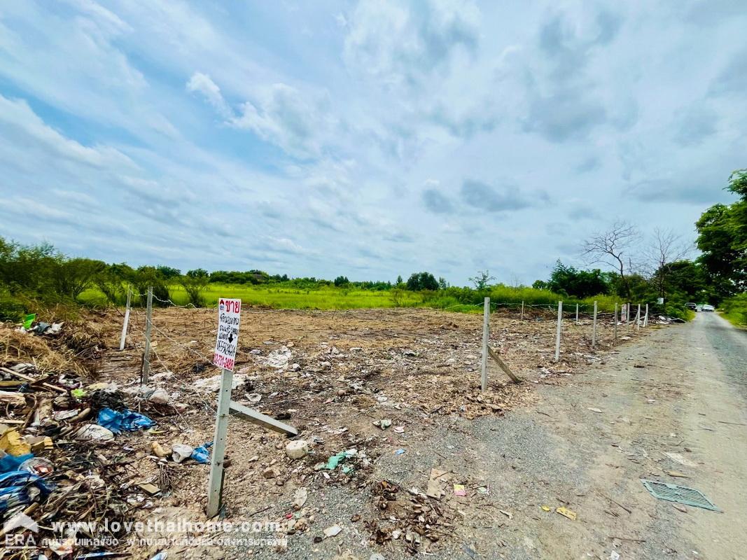 ขายที่ดิน คลองหกตะวันออก คลองหลวง ปทุมธานี พื้นที่ 200 ตรว. ใกล้ศูนย์กระจายสินค้า บิ๊กซี คลอง6 และ ม.เทคโนโลยีราชมงคล