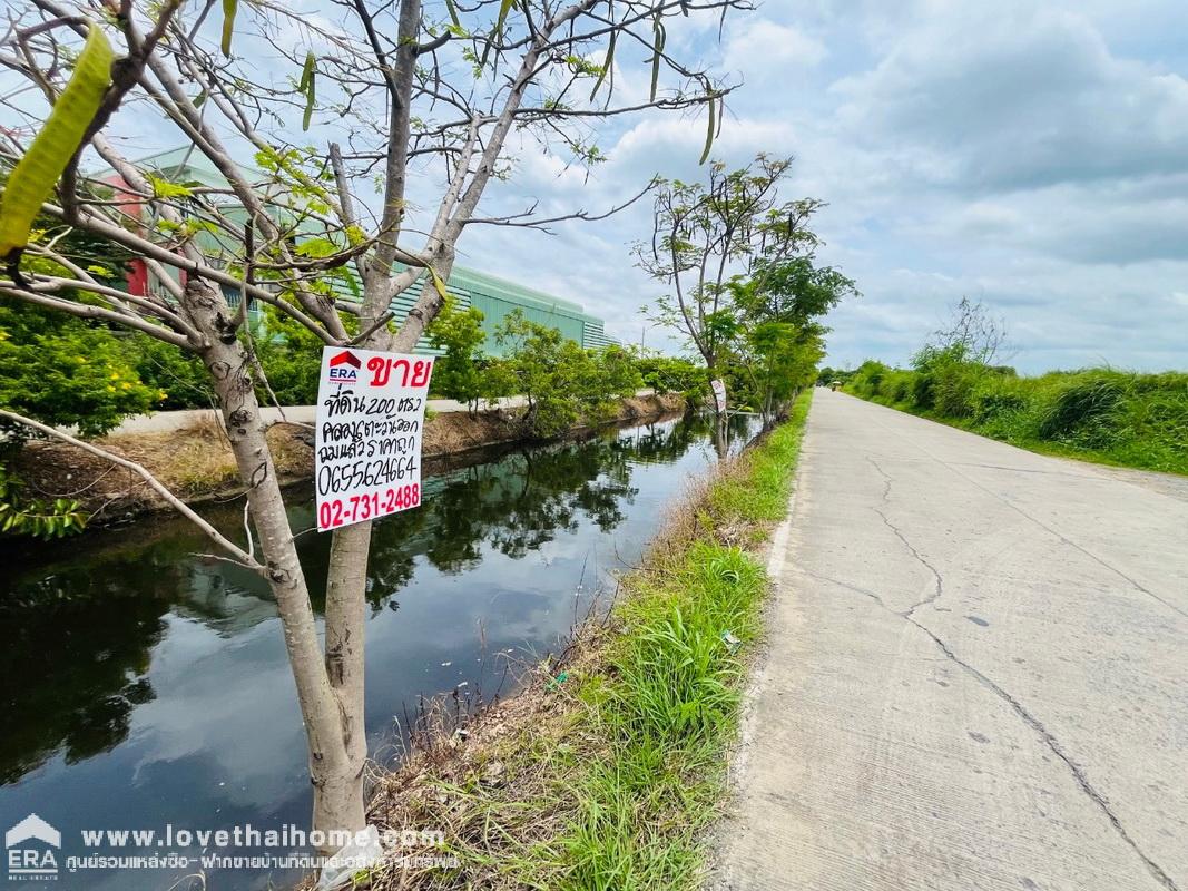 ขายที่ดิน คลองหกตะวันออก คลองหลวง ปทุมธานี พื้นที่ 200 ตรว. ใกล้ศูนย์กระจายสินค้า บิ๊กซี คลอง6 และ ม.เทคโนโลยีราชมงคล