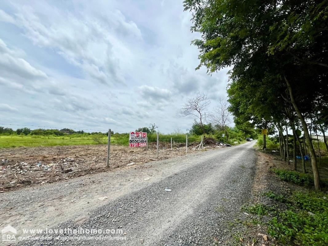 ขายที่ดิน คลองหกตะวันออก คลองหลวง ปทุมธานี พื้นที่ 200 ตรว. ใกล้ศูนย์กระจายสินค้า บิ๊กซี คลอง6 และ ม.เทคโนโลยีราชมงคล