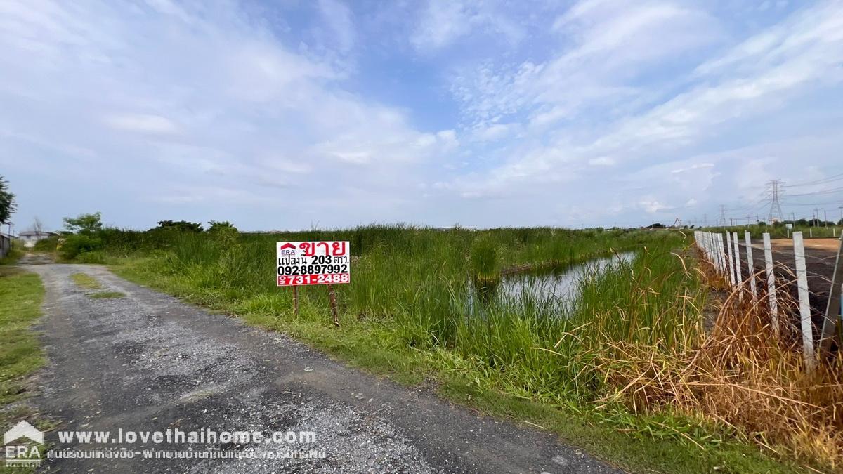 ขายที่ดิน ซอยวัดพระเงิน ถนนบางม่วง-บางคูลัด พื้นที่ 203 ตรว. เหมาะลงทุน ใกล้ตลาดน้ำบางคูลัด