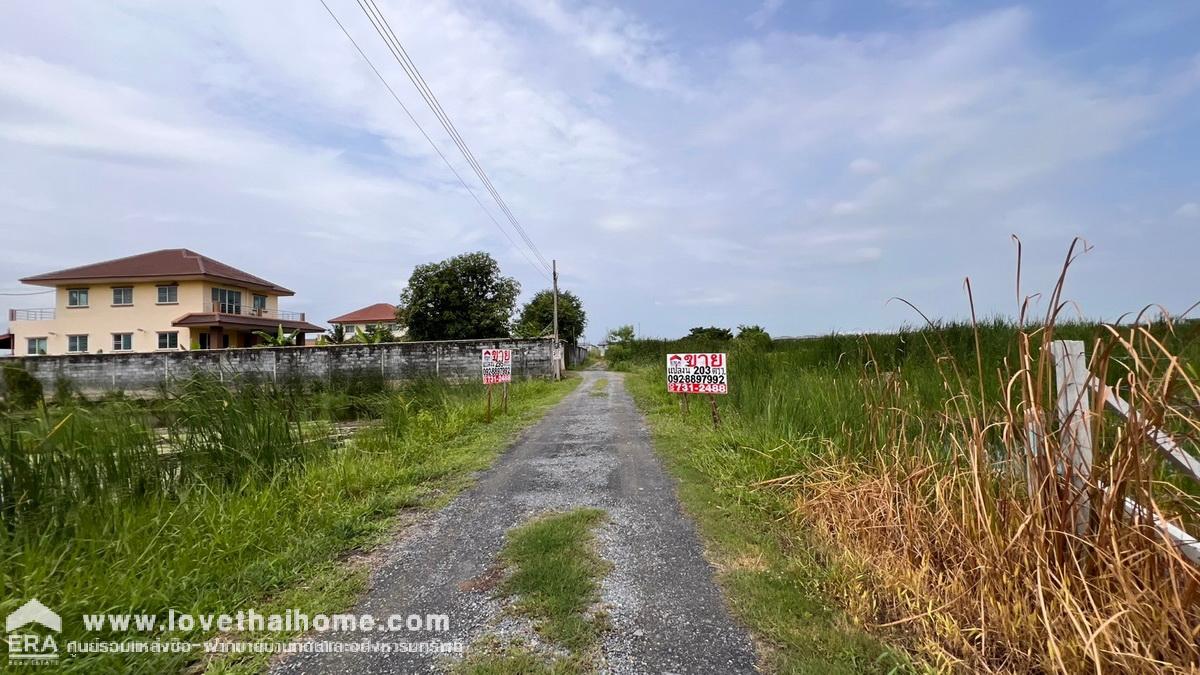 ขายที่ดิน ซอยวัดพระเงิน ถนนบางม่วง-บางคูลัด พื้นที่ 203 ตรว. เหมาะลงทุน ใกล้ตลาดน้ำบางคูลัด