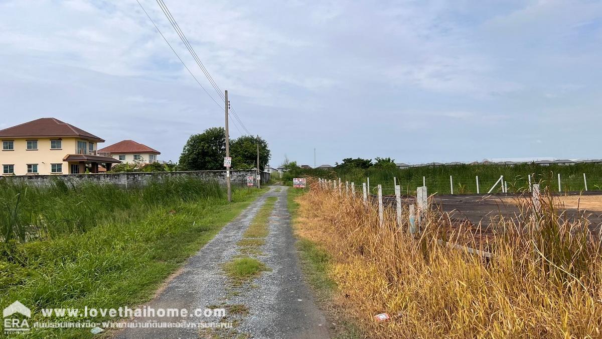 ขายที่ดิน ซอยวัดพระเงิน ถนนบางม่วง-บางคูลัด พื้นที่ 295 ตรว. แปลงสวย เหมาะลงทุน ใกล้ตลาดน้ำบางคูลัด