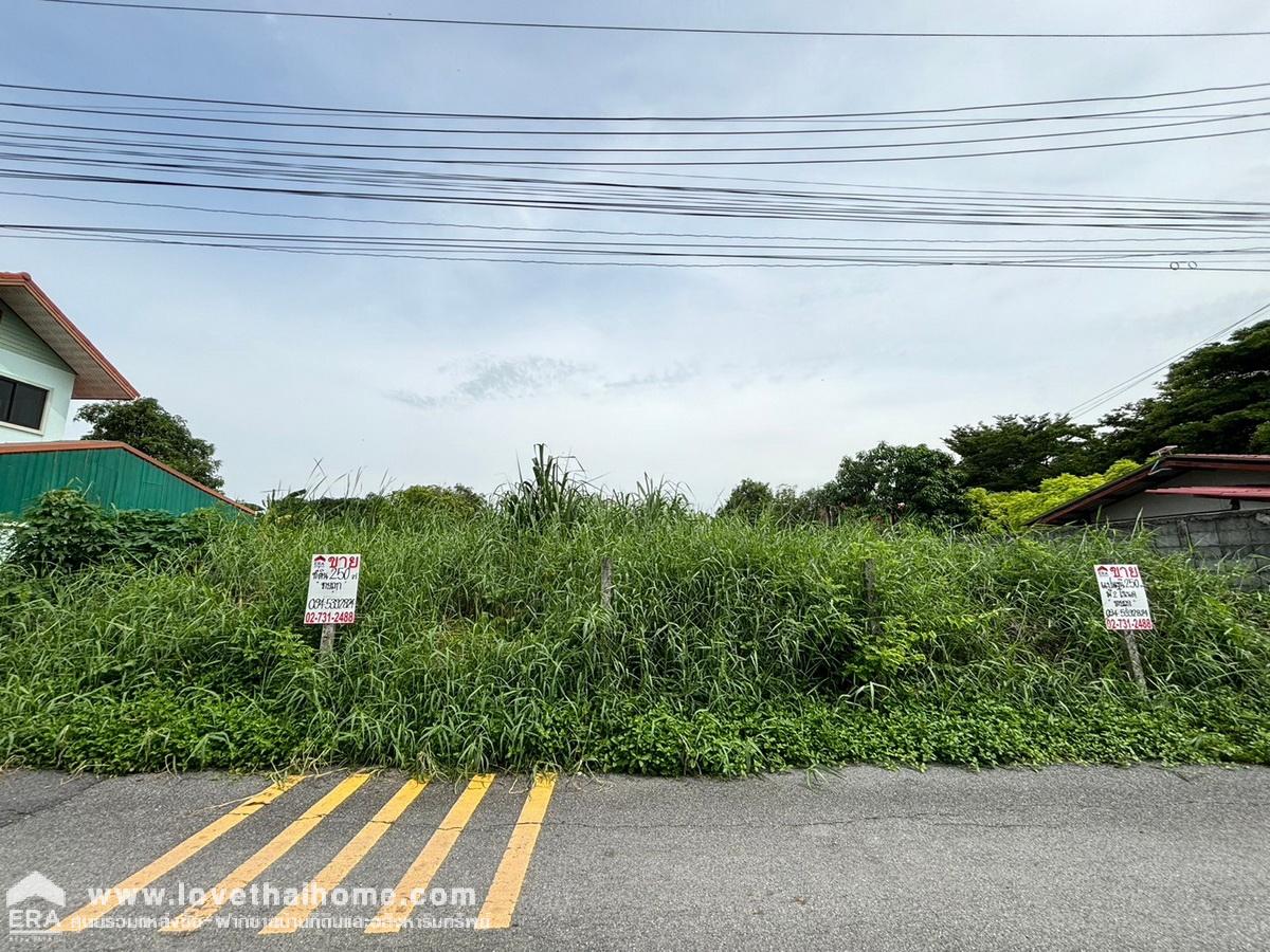 ขายที่ดินราคาถูก ถนนสุขาภิบาล 5 ซอย 65 ย่านสายไหม (รวม 2 โฉนด) 250 ตรว. แปลงสวย ใกล้ทางพิเศษฉลองรัช