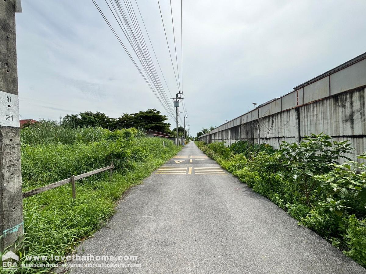 ขายที่ดินราคาถูก ถนนสุขาภิบาล 5 ซอย 65 ย่านสายไหม (รวม 2 โฉนด) 250 ตรว. แปลงสวย ใกล้ทางพิเศษฉลองรัช