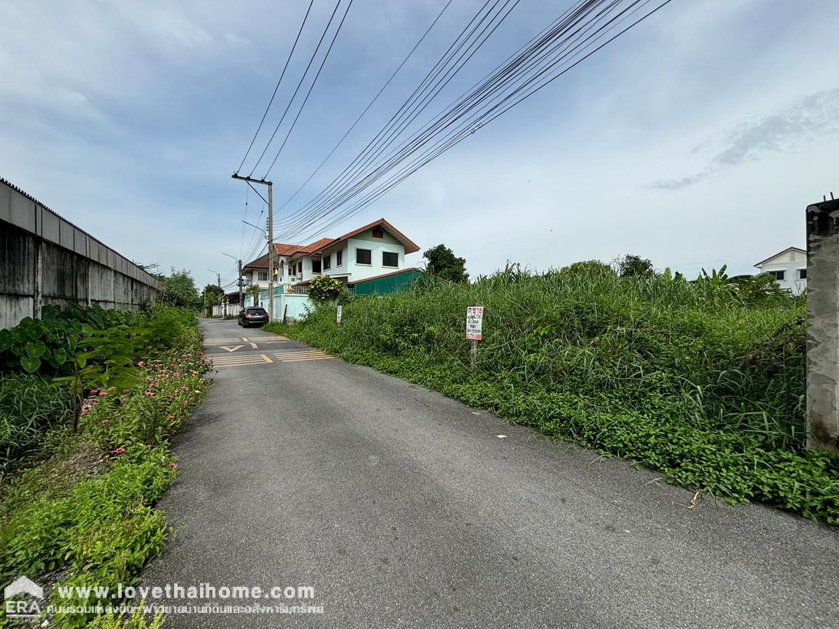 ขายที่ดินราคาถูก ถนนสุขาภิบาล 5 ซอย 65 ย่านสายไหม (รวม 2 โฉนด) 250 ตรว. แปลงสวย ใกล้ทางพิเศษฉลองรัช