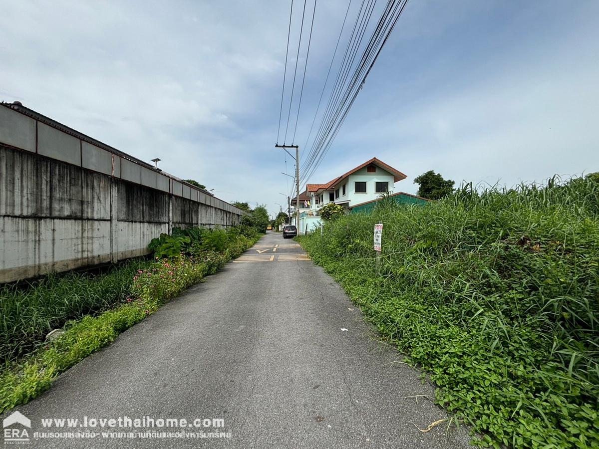 ขายที่ดินราคาถูก ถนนสุขาภิบาล 5 ซอย 65 ย่านสายไหม (รวม 2 โฉนด) 250 ตรว. แปลงสวย ใกล้ทางพิเศษฉลองรัช