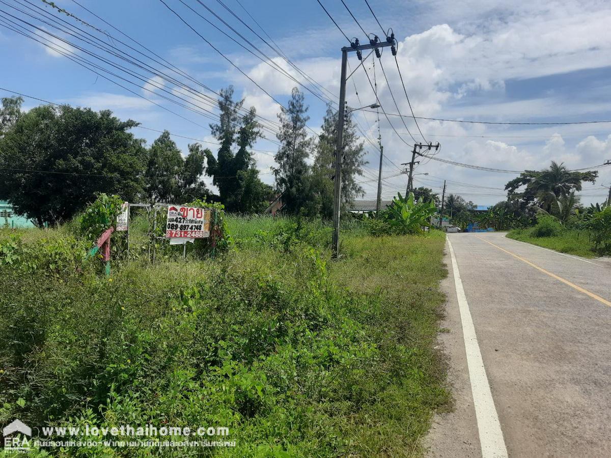 ขายที่ดินติดถนนประชาสำราญ 2 หนองจอก แปลงมุมถมแล้ว 427 ตรว. (380+47ตรว.) ทำเลดี เหมาะทำกิจการบริษัท ตึกแถวและอื่นๆ