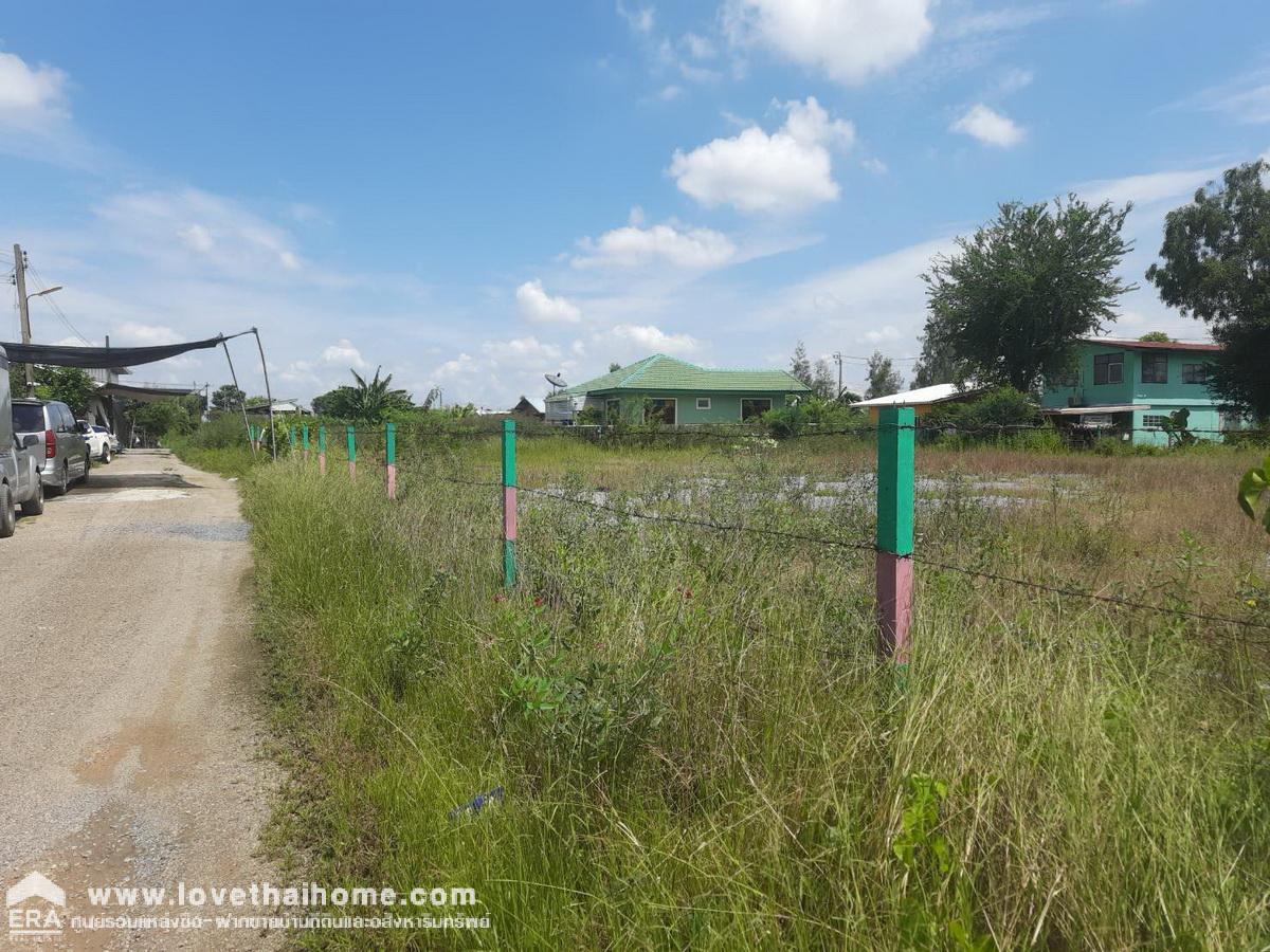 ขายที่ดินติดถนนประชาสำราญ 2 หนองจอก แปลงมุมถมแล้ว 427 ตรว. (380+47ตรว.) ทำเลดี เหมาะทำกิจการบริษัท ตึกแถวและอื่นๆ