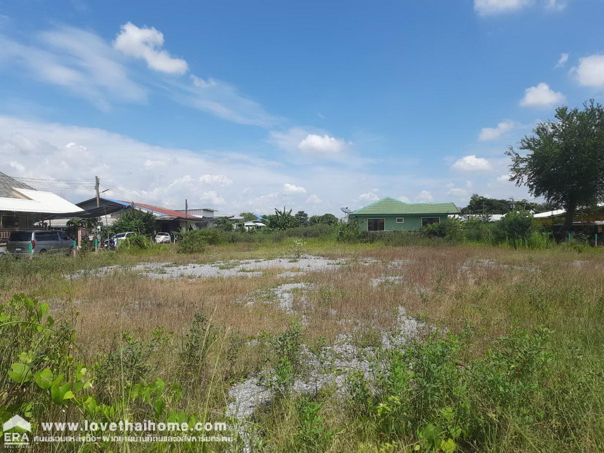 ขายที่ดินติดถนนประชาสำราญ 2 หนองจอก แปลงมุมถมแล้ว 427 ตรว. (380+47ตรว.) ทำเลดี เหมาะทำกิจการบริษัท ตึกแถวและอื่นๆ