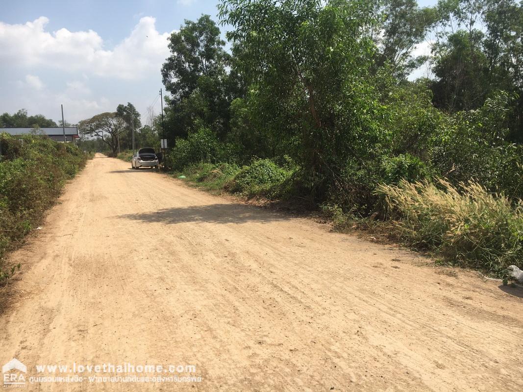 ขายที่ดินถนนคลอง 4-คลองหลวง ซอยคลองสี่ตะวันตก 22/1 ปทุมธานี พื้นที่ 200 ตรว. เข้าซอยเพียง 500 เมตร