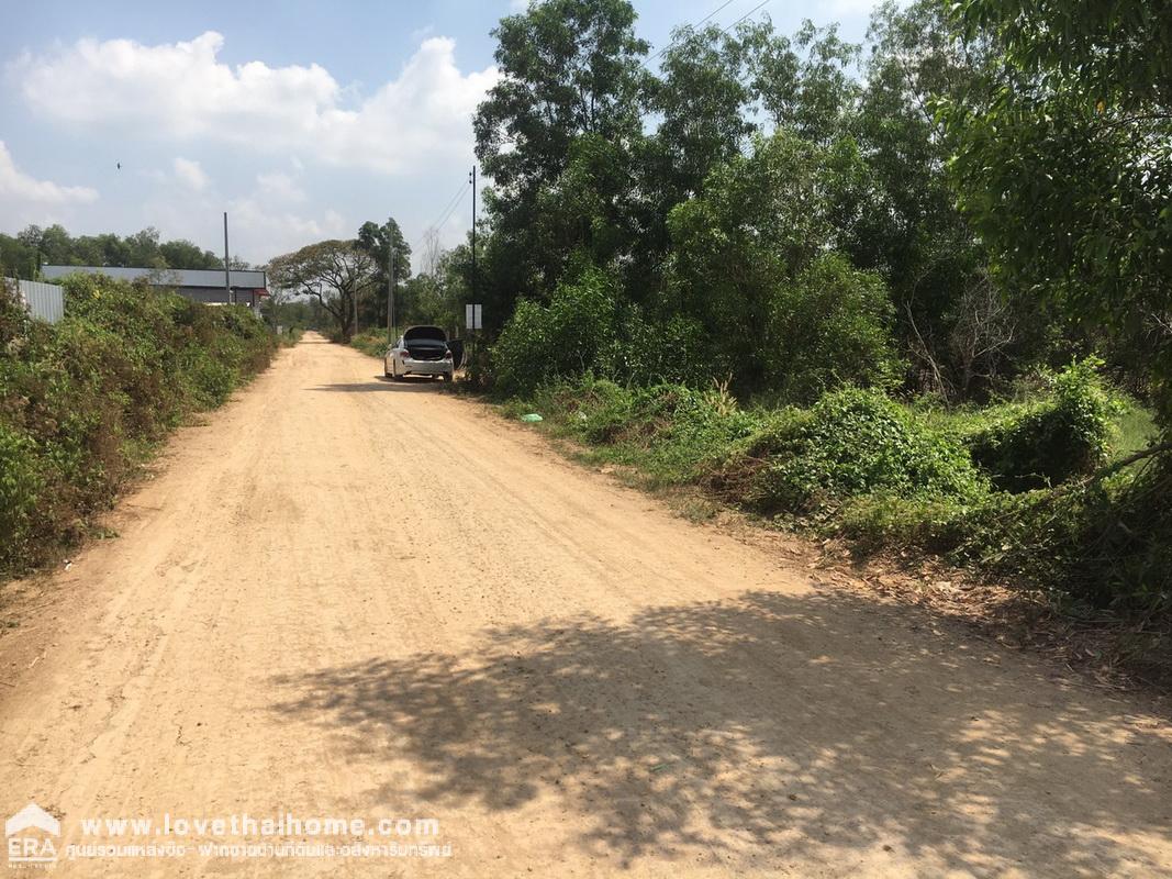 ขายที่ดินถนนคลอง 4-คลองหลวง ซอยคลองสี่ตะวันตก 22/1 ปทุมธานี พื้นที่ 200 ตรว. เข้าซอยเพียง 500 เมตร