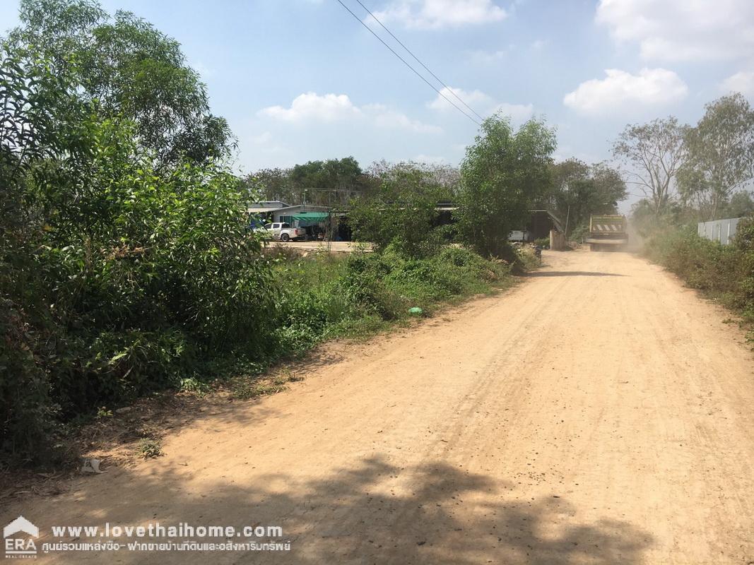 ขายที่ดินถนนคลอง 4-คลองหลวง ซอยคลองสี่ตะวันตก 22/1 ปทุมธานี พื้นที่ 200 ตรว. เข้าซอยเพียง 500 เมตร