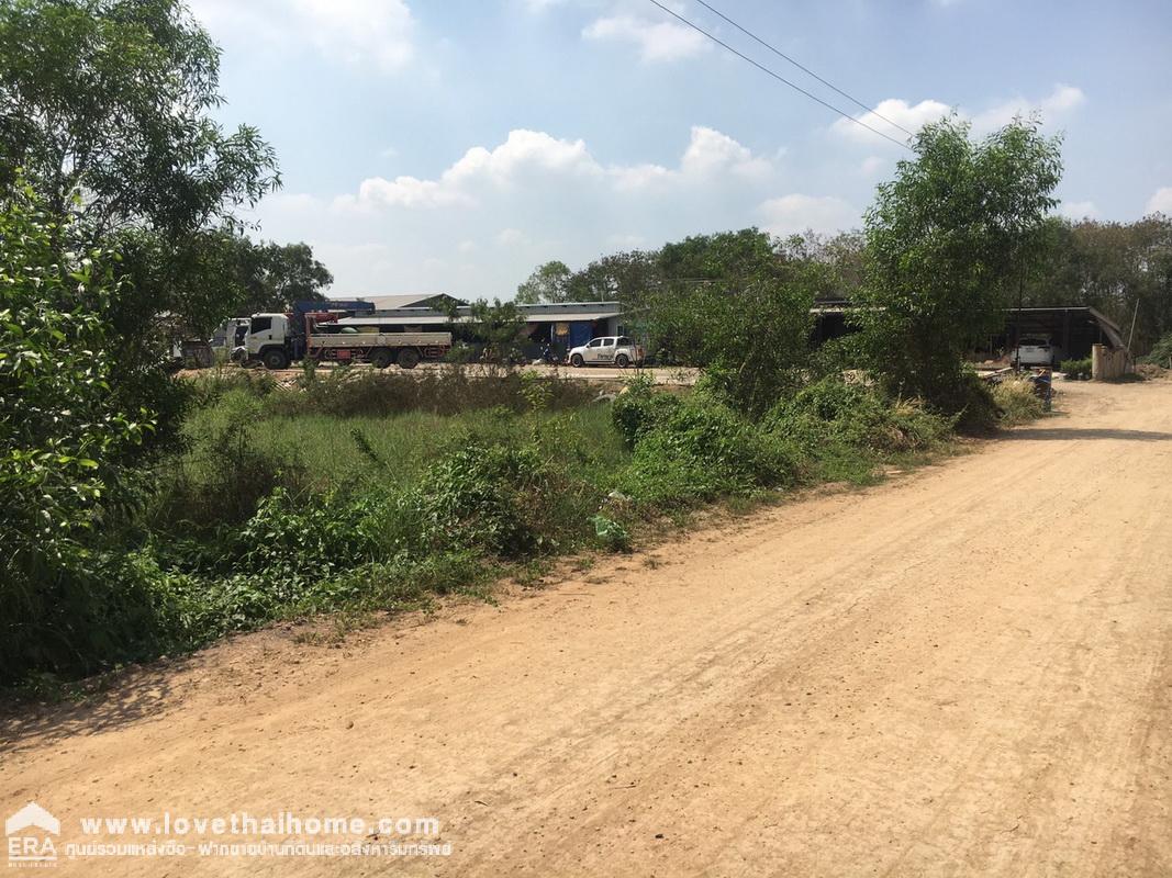 ขายที่ดินถนนคลอง 4-คลองหลวง ซอยคลองสี่ตะวันตก 22/1 ปทุมธานี พื้นที่ 200 ตรว. เข้าซอยเพียง 500 เมตร