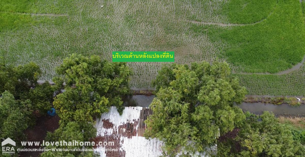 ขายที่ดินจัดสรร ถ.คลองเก้า-ลำหิน หนองจอก พื้นที่ 32 ตรว. ต้องการขายด่วน/ต่อรองได้ อยู่ในซอยตรงข้าม บริษัทพูนสุชน จำกัด