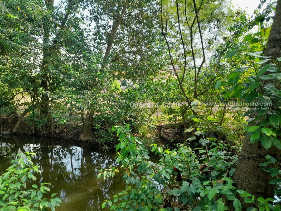 ขายที่ดินพระราม2 ซอยอนามัยงามเจริญ33 แยก1 บางขุนเทียน ใกล้ทางด่วนพระราม2 พื้นที่ 9-1-81ไร่ ราคาสุดคุ้มวาละ30,000บาท แปลงที่ดินขนาดใหญ่ หาไม่ได้ง่ายในโซนพระราม 2 เข้าทางวัดยายร่ม เพียง 5 กม. ถึงถนนพระราม2 