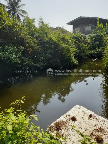 ขายที่ดินพระราม2 ซอยอนามัยงามเจริญ33 แยก1 บางขุนเทียน ใกล้ทางด่วนพระราม2 พื้นที่ 9-1-81ไร่ ราคาสุดคุ้มวาละ30,000บาท แปลงที่ดินขนาดใหญ่ หาไม่ได้ง่ายในโซนพระราม 2 เข้าทางวัดยายร่ม เพียง 5 กม. ถึงถนนพระราม2 