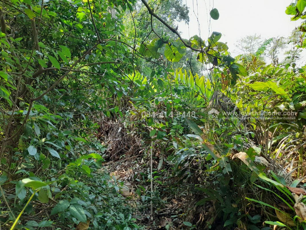 ขายที่ดินพระราม2 ซอยอนามัยงามเจริญ33 แยก1 บางขุนเทียน ใกล้ทางด่วนพระราม2 พื้นที่ 9-1-81ไร่ ราคาสุดคุ้มวาละ30,000บาท แปลงที่ดินขนาดใหญ่ หาไม่ได้ง่ายในโซนพระราม 2 เข้าทางวัดยายร่ม เพียง 5 กม. ถึงถนนพระราม2 