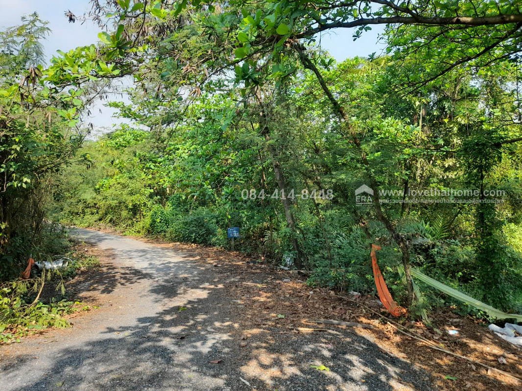 ขายที่ดินพระราม2 ซอยอนามัยงามเจริญ33 แยก1 บางขุนเทียน ใกล้ทางด่วนพระราม2 พื้นที่ 9-1-81ไร่ ราคาสุดคุ้มวาละ30,000บาท แปลงที่ดินขนาดใหญ่ หาไม่ได้ง่ายในโซนพระราม 2 เข้าทางวัดยายร่ม เพียง 5 กม. ถึงถนนพระราม2 