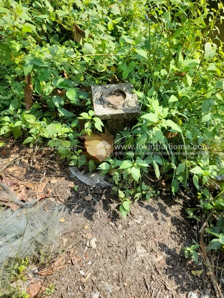 ขายที่ดินพระราม2 ซอยอนามัยงามเจริญ33 แยก1 บางขุนเทียน ใกล้ทางด่วนพระราม2 พื้นที่ 9-1-81ไร่ ราคาสุดคุ้มวาละ30,000บาท แปลงที่ดินขนาดใหญ่ หาไม่ได้ง่ายในโซนพระราม 2 เข้าทางวัดยายร่ม เพียง 5 กม. ถึงถนนพระราม2 